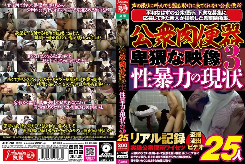 公衆肉便器 卑猥な映像 性暴力の現状3 25人